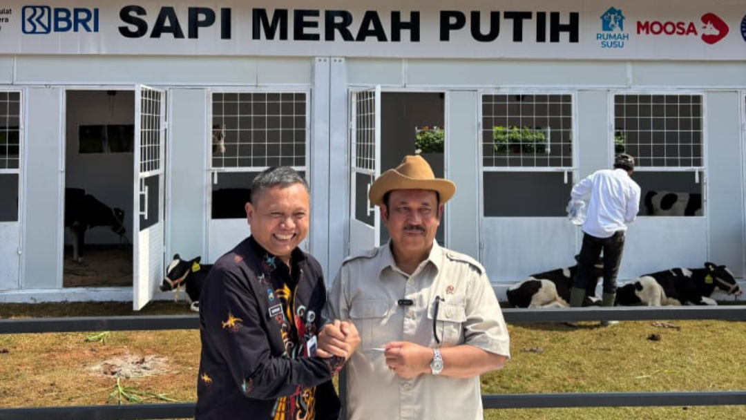 Sapi Merah Putih Diluncurkan, Pemerintah Dorong Program MBG dan Swasembada Pangan